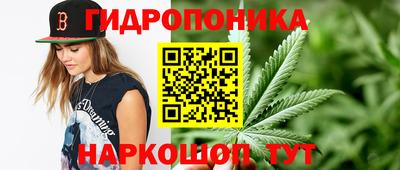 стафф Кимры