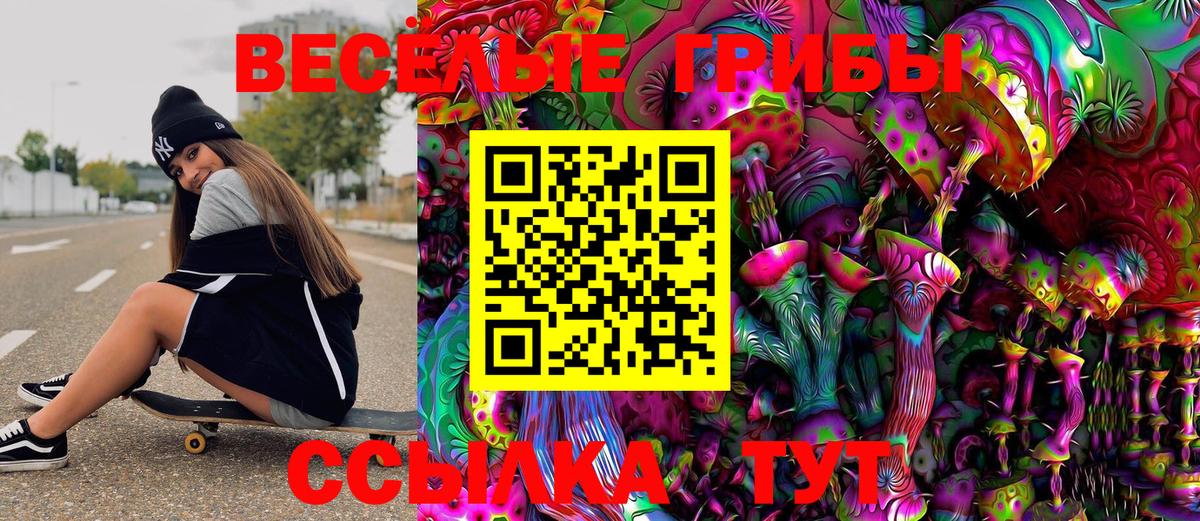 Галлюциногенные грибы Psilocybe Красноармейск