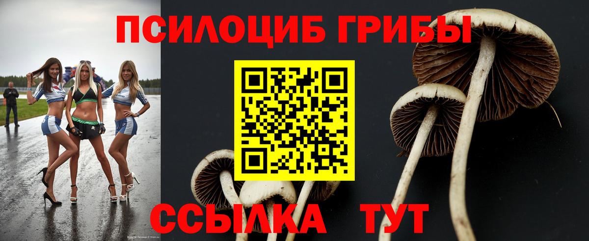 где купить наркоту  Вход с VPN  Красноармейск  Галлюциногенные грибы Psilocybe 